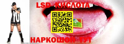 ПСИЛОЦИБИНОВЫЕ ГРИБЫ Камышлов
